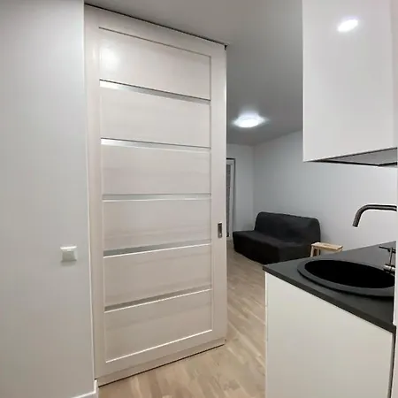 Wolfie Apartment Vilnius Exterior photo